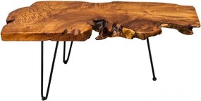 Masuta living design unicat Wild 100x40cm A-38797 VC