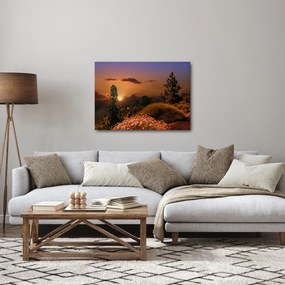 Tablou naturii cu apus de soare (70x50 cm)