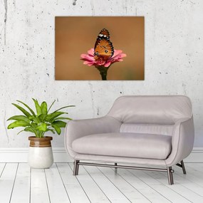Tablou pe sticlă cu fluture pe floare (70x50 cm)