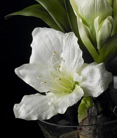 Aranjament floral mic decor festiv design LUX, ORLY BULB