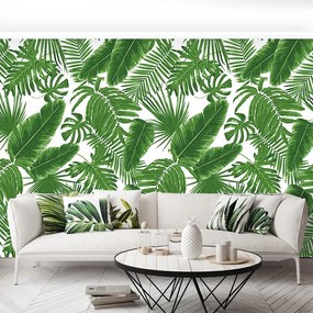 Fototapet Frunze tropicale