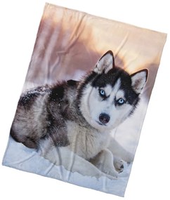 Pătură din microfibră BedTex Câine Siberian Husky,150 x 200 cm