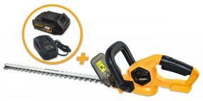 Riwall PRO RAHT 5220 set - Trimmer gard viu fără fir 20V
