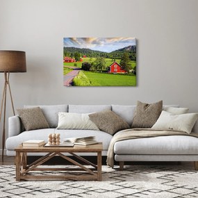 Tabloul cu țară (90x60 cm)