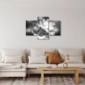 Tablou - Detailu cu fluture care polenizează floare (90x60 cm)