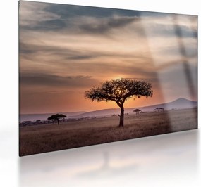 Tablou pe sticlă apusului de soare în Tanzania (70x50 cm)