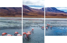Tablou - Flamingo (90x60 cm)