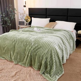 Pătură pufoasă Cocolino, verde deschis, 200x230 cm, PCB542