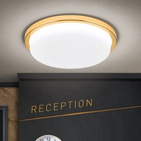 Plafoniera LED moderna LEROX 30cm aurie 24K