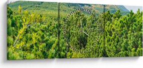 Tablou - Babi Hora, Polonia (cu ceas) (90x30 cm)