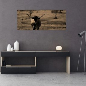 Tablou - Vacă din Texas (120x50 cm)