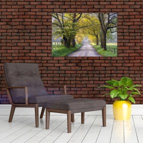 Tablou - Smoky Mountains, Gatlinburg, SUA (90x60 cm)