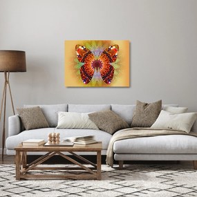 Tablou pe sticlă - Fluture etno (70x50 cm)