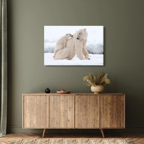 Tablou - Urs polar (90x60 cm)