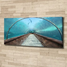 Pictură pe pânză Acvariul tunel