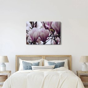 Tablou - Magnolie (90x60 cm)