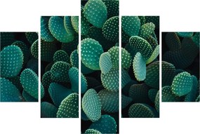 Tablou - Opuntia (150x105 cm)