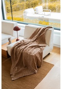 Pătură maro din micropluș/cocolino 130x170 cm Aspen – Tiseco Home Studio