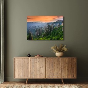 Tablou - Parcul forestier național Zhangjiajie (90x60 cm)