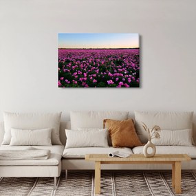 Tablou - Pajiștea cu lalele violet (90x60 cm)