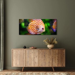 Tablou cu pește (120x50 cm)