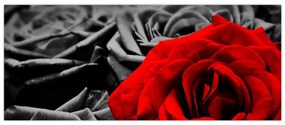 Tablou - Flori de trandafir (120x50 cm)