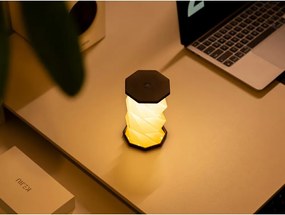 Decorațiune luminoasă albă/neagră portabilă cu USB ø 8 cm Twist – Gingko