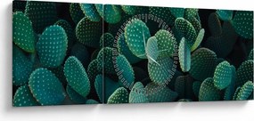 Tablou - Opuntia (cu ceas) (90x30 cm)