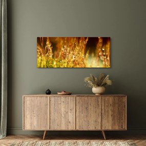 Tablou - Detaliu rouă (120x50 cm)