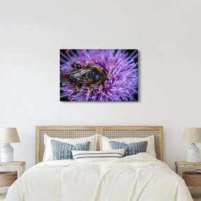 Tablou cu albina pe floare (90x60 cm)