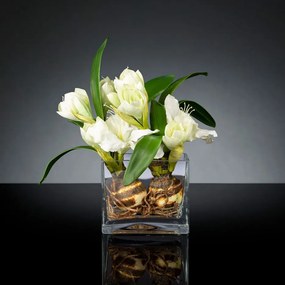 Aranjament floral mediu design LUX SQUARE AMARYLLIS BULB