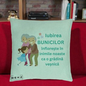 Cadou pentru Bunici - Perna Personalizata Bunicii Iubirea Infloreste cu Nepoata Teal, 40x40 cm, Verde Menta, Husa Detasabila, Perna Inclusa, BEKZ®