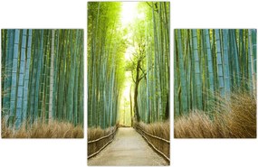 Tablou - Strada cu bambuși (90x60 cm)