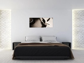 Tablou - Înregistrare gramofonică (120x50 cm)