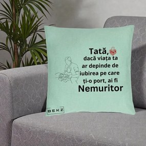 Cadou pentru Tata - Perna Personalizata Tata Nemuritor Lectura, 40x40 cm, Verde Menta, Husa Detasabila, Perna Inclusa, BEKZ®