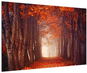 Tablou - Pădurea de toamnă (90x60 cm)