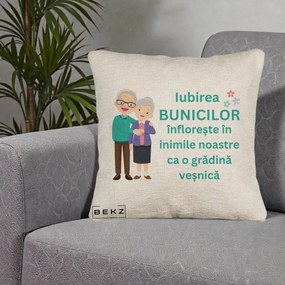 Cadou pentru Bunici - Perna Personalizata Bunicii Iubirea Infloreste Cuplu Senior Teal, 40x40 cm, Bej Canapea, Husa Detasabila, Perna Inclusa, BEKZ®