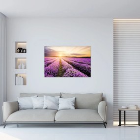 Tablou - Răsărit de soare în câmp de lavandă (90x60 cm)
