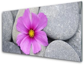 Tablouri acrilice Pietrele florale flori roz gri