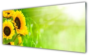 Tablouri acrilice Floarea soarelui Floral Brun Galben Verde