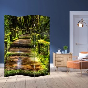 Paravan - Scări într-o pădure tropicală (126x170 cm)