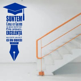 Sticker perete Suntem ceea ce facem in mod repetat