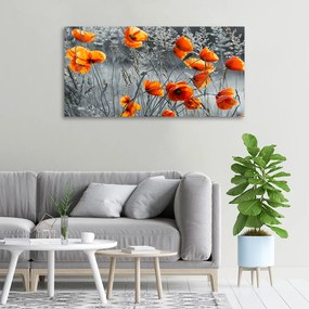 Tablouri tipărite pe pânză Wildflowers maci