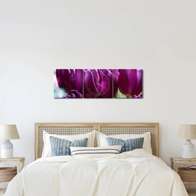 Tablou cu lalele (cu ceas) (90x30 cm)
