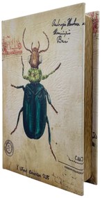 Cutie tip carte BUGGY, 21x7x30cm, Lemn