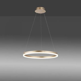 Lustră LED dimabilă pe cablu Paul Neuhaus 2382-60 TITUS LED/38,5W/230V