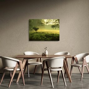 Tablou pe sticlă - Pădurea trezită (70x50 cm)