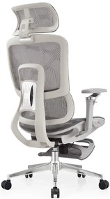 SYBERGO HUMAN PRO Scaun ergonomic, suport lombar, sezut translatie, cotiere 3D, suport picioare, Full Mesh, Gri