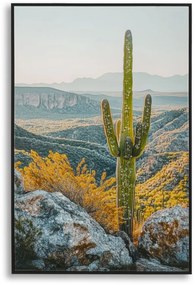 Mauro Ferretti Pictura Pe Panza Lacuita, Cu Rama, Cactus -B- Cm 60X4X88 | Aosom Romania