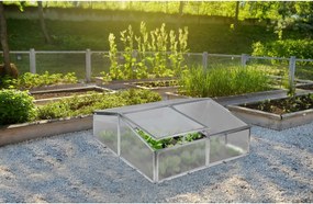 Răsadniță G21 din două părți GA12 100 x 120 x 40cm